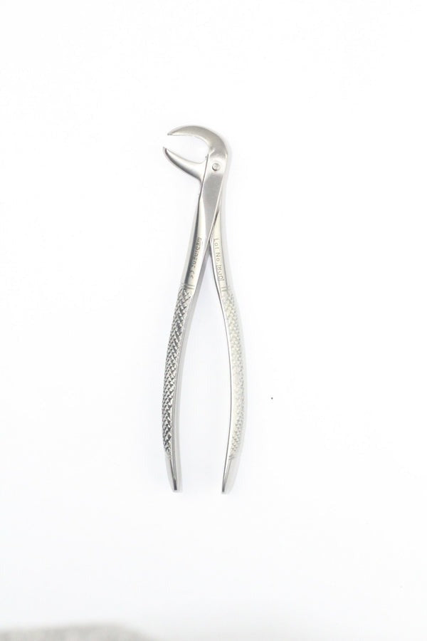 LOWER MOLARS FIG 73 (Cod. 1000-28)