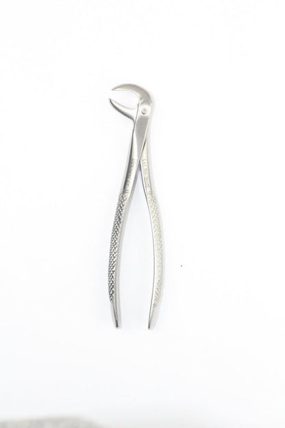 LOWER MOLARS FIG 73 (Cod. 1000-28)