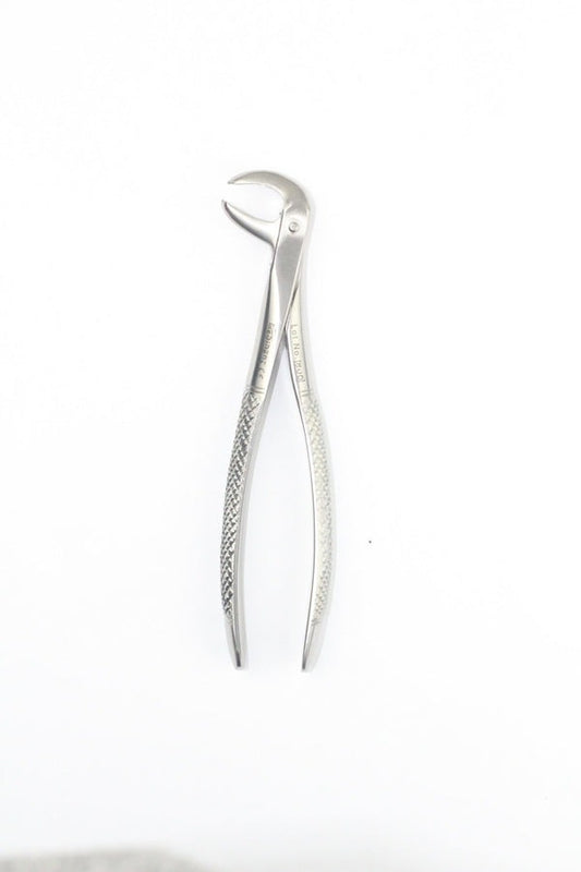 LOWER MOLARS FIG 73 (Cod. 1000-28)