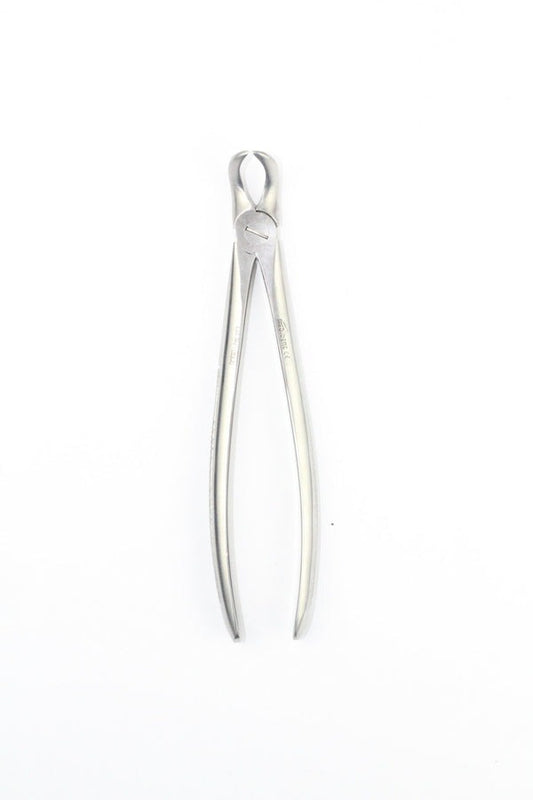 LOWER MOLARS WITH DECAYED OR BROCKEN DOWN CROWNS FIG.87 (COD.1000-32)