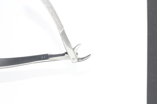 LOWER MOLARS WITH DECAYED OR BROCKEN DOWN CROWNS FIG 86 (Cod 1000-31)