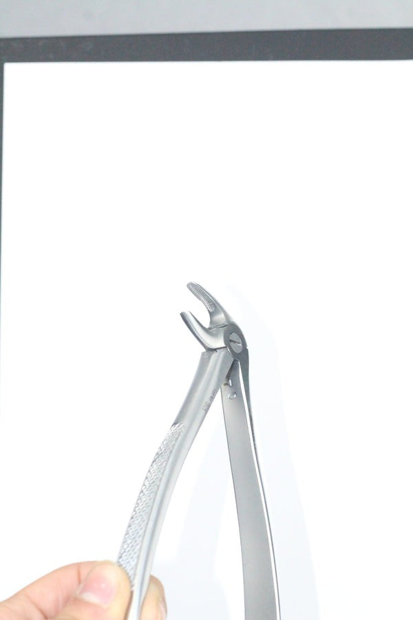 LOWER PREMOLAS FIG 13 (Cod. 1000-12)