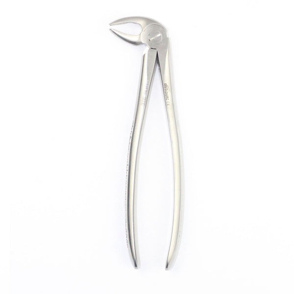 LOWER PREMOLAS FIG 13 (Cod. 1000-12)