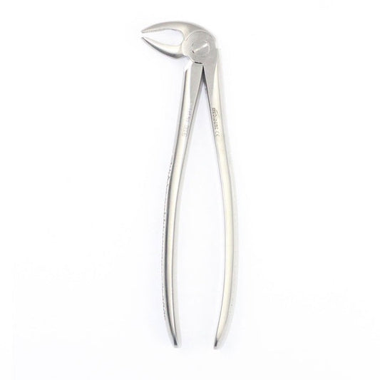 LOWER PREMOLAS FIG 13 (Cod. 1000-12)