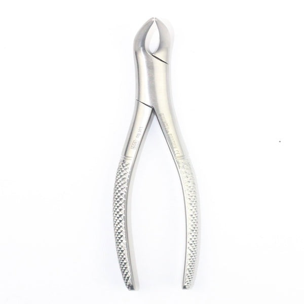 LOWER ROOTS FIG 120.01(Cod. 1000-33)