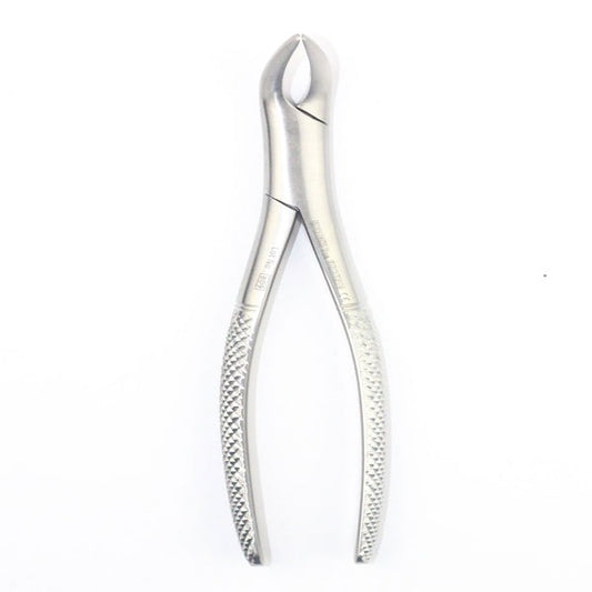 LOWER ROOTS FIG 120.01(Cod. 1000-33)