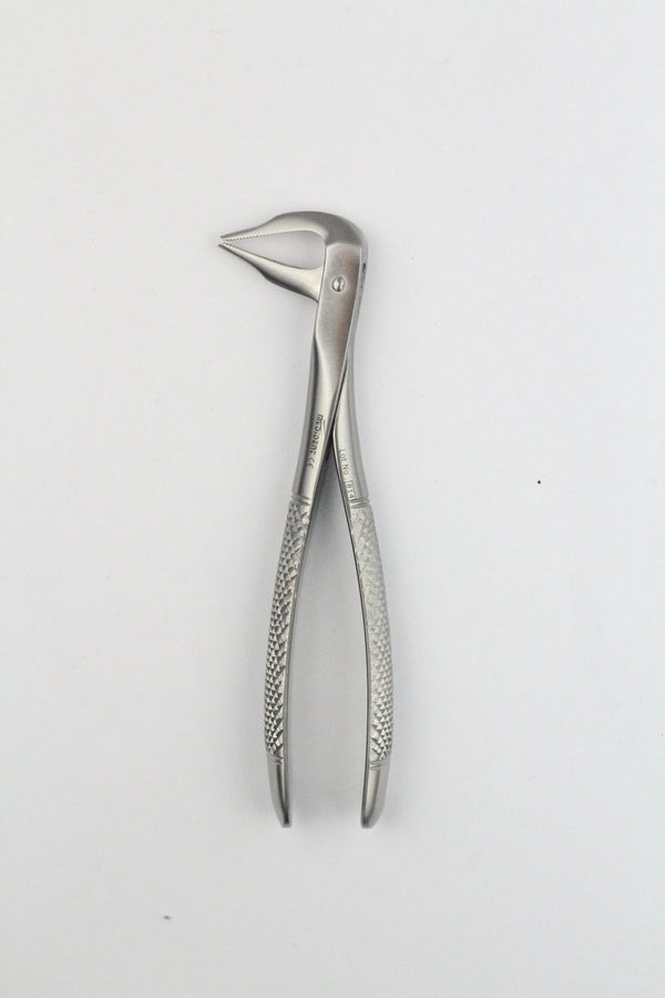 LOWER ROOTS FIG 185A (Cod. 1000-36)