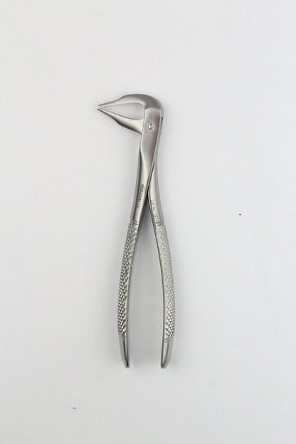 LOWER ROOTS FIG 185A (Cod. 1000-36)