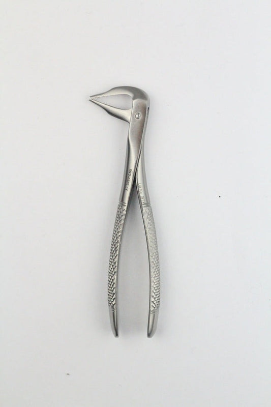 LOWER ROOTS FIG 185A (Cod. 1000-36)