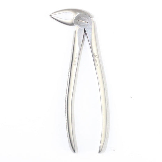 LOWER ROOTS FIG 33 (Cod. 1000-21)