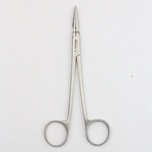 STIEGLITZ ROOT FRAGMENTS (Cod.1000-1)