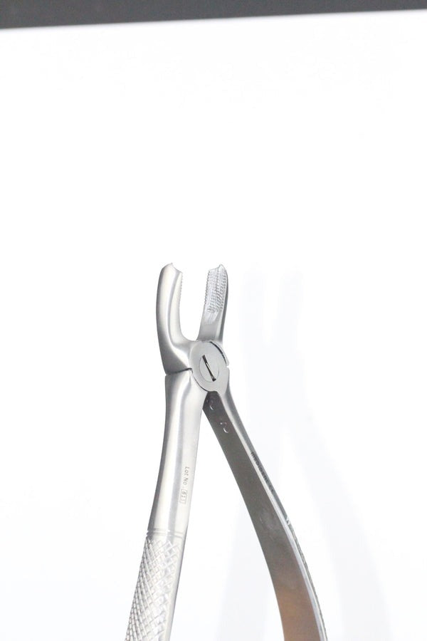 UPPER MOLARS FIG 18A (Cod. 1000-15)