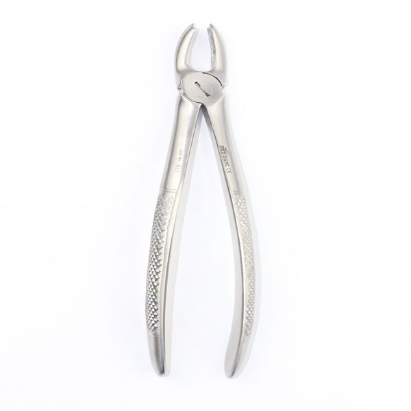 UPPER MOLARS FIG 18A (Cod. 1000-15)