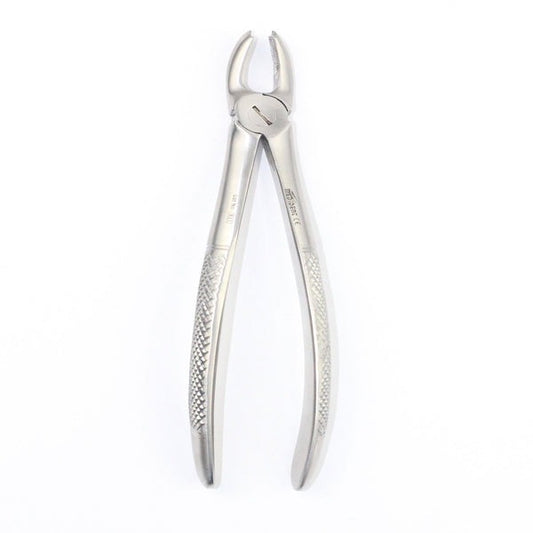 UPPER MOLARS FIG 18A (Cod. 1000-15)