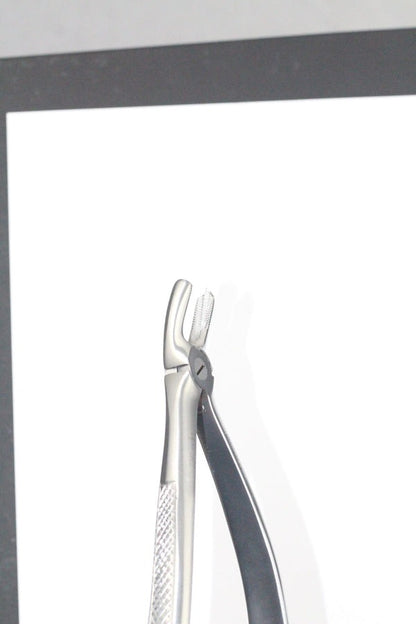 UPPER MOLARS LEFT FIG 18 (Cod. 1000-14)
