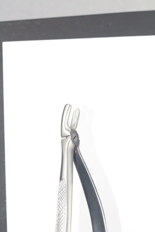 UPPER MOLARS LEFT FIG 18 (Cod. 1000-14)
