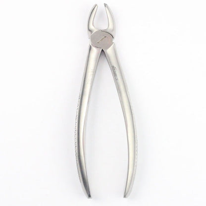 UPPER MOLARS LEFT FIG 18 (Cod. 1000-14)