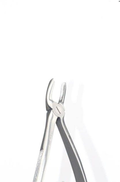 UPPER MOLARS RIGHT FIG 17 (Cod. 1000-13)