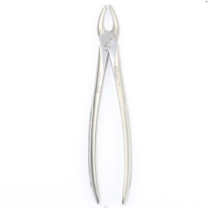 UPPER MOLARS RIGHT FIG 17 (Cod. 1000-13)