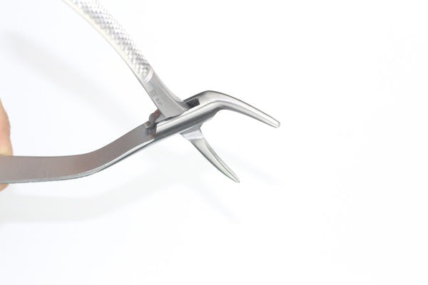 UPPER ROOTS FIG 120.02 (Cod. 1000-34)