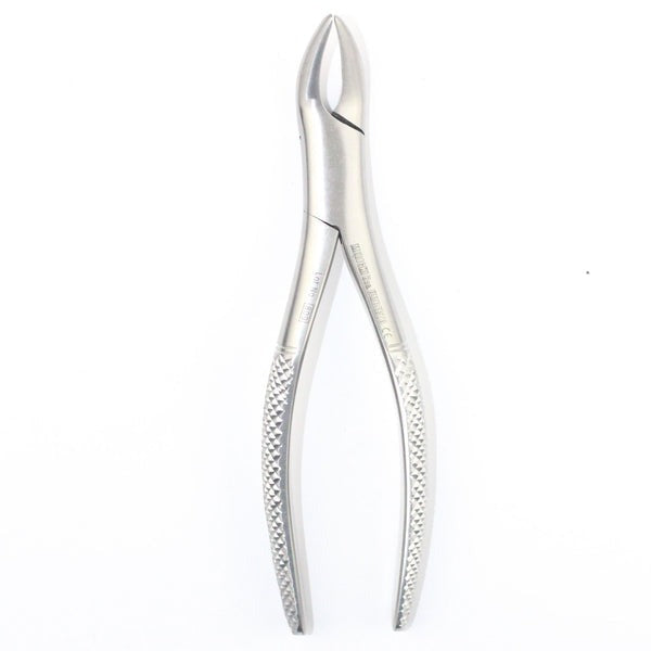 UPPER ROOTS FIG 120.02 (Cod. 1000-34)