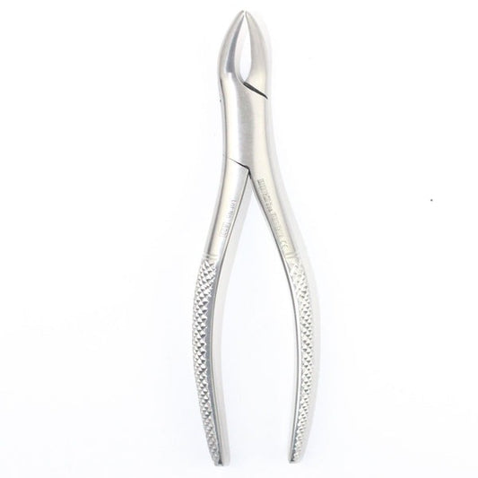 UPPER ROOTS FIG 120.02 (Cod. 1000-34)