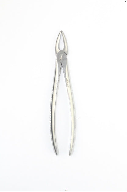 UPPER ROOTS FIG 29 (Cod. 1000-20)