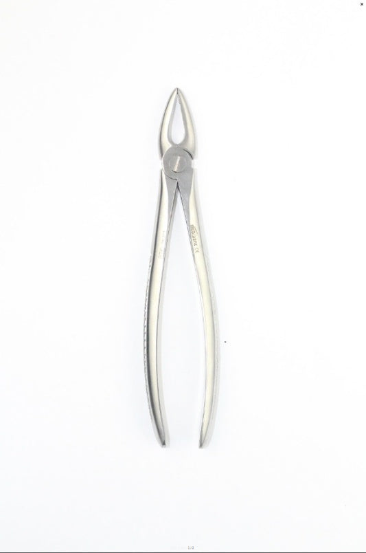 UPPER ROOTS FIG 29 (Cod. 1000-20)