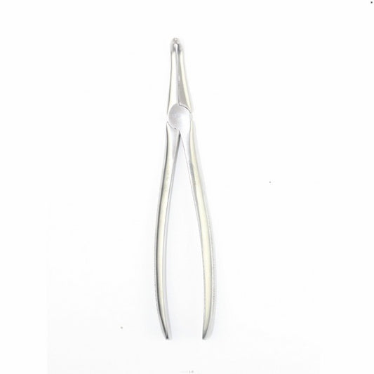 UPPER ROOTS FIG 41 (Cod. 1000-23)