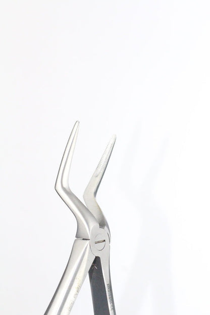 UPPER ROOTS FIG 51L (Cod. 1000-25)