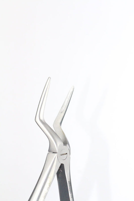 UPPER ROOTS FIG 51L (Cod. 1000-25)
