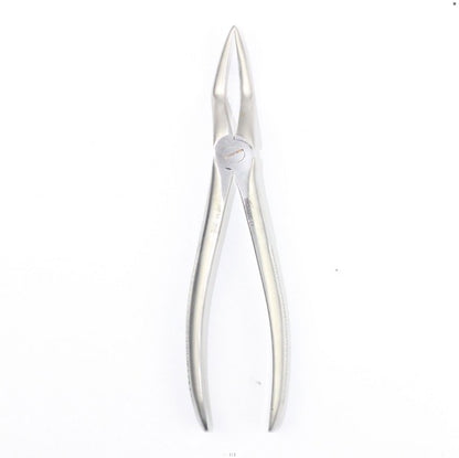 UPPER ROOTS FIG 51L (Cod. 1000-25)